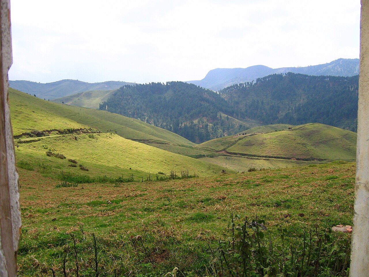 Nyungwe Forest
